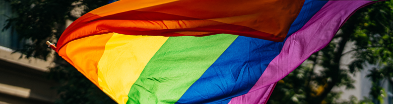 detail of the Pride flag