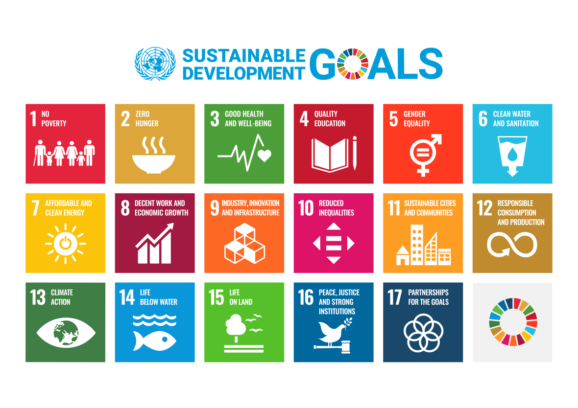 the 17 sustainable development goals defined by the UN